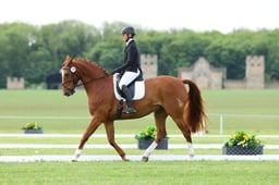B20_2926 2026