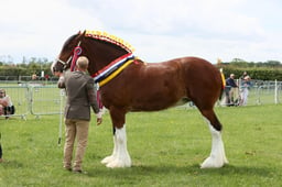 E36_1416 2026