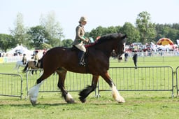 E33_0502 2026