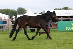 W29_0508 2026