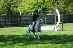 M19_0349 2026