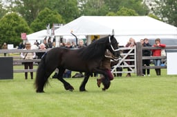 W29_0886 2026