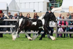 S28_8470 2026