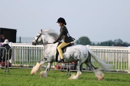 C34_0316 2026