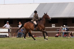 L43_1025 2026
