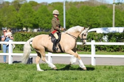 10 HOYS Ridden M&M Welsh D