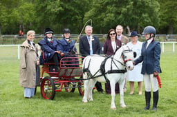 E29_1711 2026