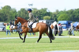 B20_3201 2026
