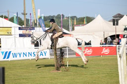 Horse Ring