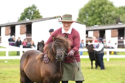 Standard Shetland Championship