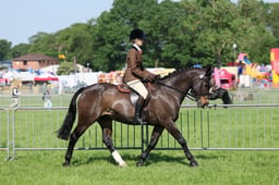 C33_0793 2026