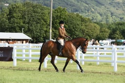 E42_0060 2026