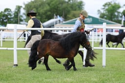H44_0862 2026