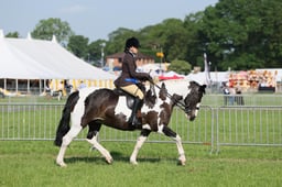 C34_0469 2026