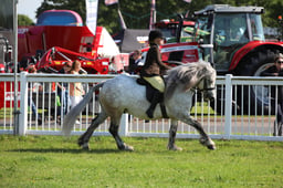 W33_0717 2026