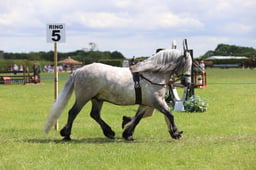 J36_7440 2026