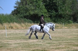 S60_0553 2026