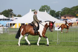 C34_0473 2026
