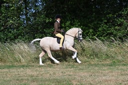 S60_0286 2026
