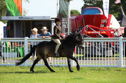 W33_0731 2026