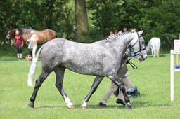 J36_6806 2026