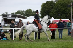 E30_5215 2026