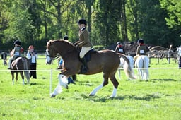 S19_8684 2026