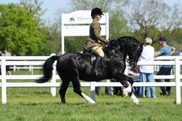 H19_0428 2026