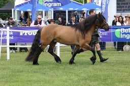 M44_0362 2026