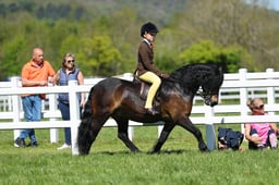 H19_0682 2026