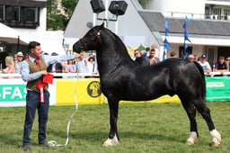 E69_1351 2026