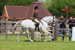 S31_7100 2026