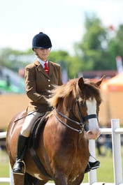 H47_0704 2026
