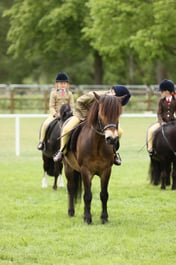 E30_1211 2026