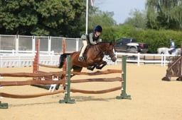 110D WHP 133cm