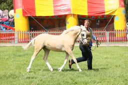 E34_1744 2026