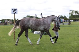 J36_5760 2026