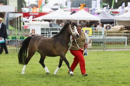 E34_3010 2026