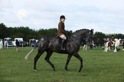 E36_0401 2026