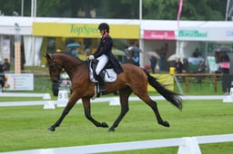 136 AUCKLAND 7