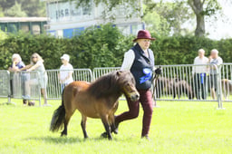 E34_1006 2026