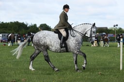 E36_0431 2026