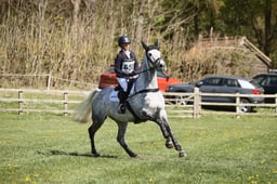 C16_0432 2026