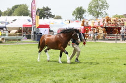 E34_2204 2026