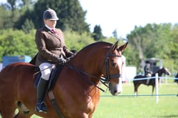 40 Amateur Maxi Cob