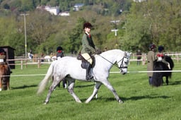 C19_0445 2026