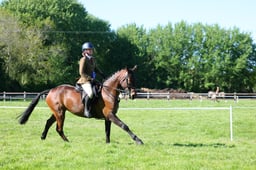 M19_0906 2026