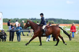 C21_1453 2026