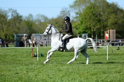 M19_0964 2026