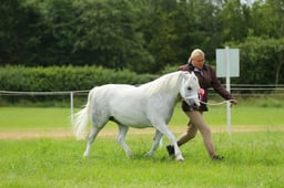 Welsh A Championships